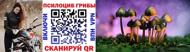 купить сайты ссылка на мегу ССЫЛКА Галлюциногенные грибы Cubensis Донской