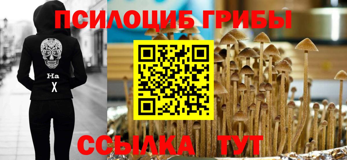 Галлюциногенные грибы MAGIC MUSHROOMS  Вход с VPN  Донской 
