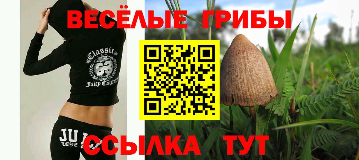 Галлюциногенные грибы MAGIC MUSHROOMS Донской