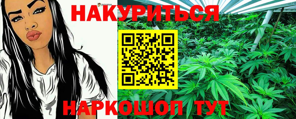 Канабис гибрид Донской